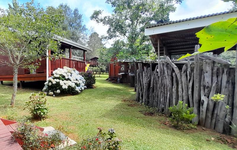 8 Bedroom Property for Sale in Hogsback Eastern Cape